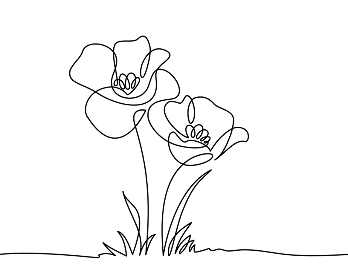 Outline of two flowers